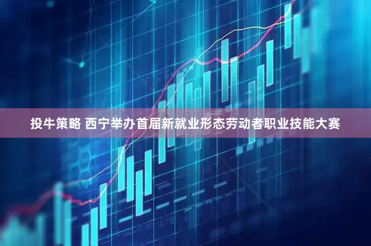 投牛策略 西宁举办首届新就业形态劳动者职业技能大赛