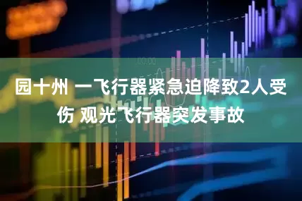 园十州 一飞行器紧急迫降致2人受伤 观光飞行器突发事故