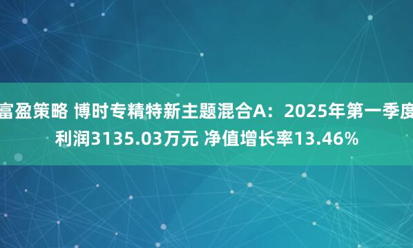 富盈策略 博时专精特新主题混合A：2025年第一季度利润3135.03万元 净值增长率13.46%