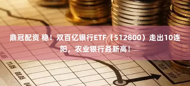 鼎冠配资 稳！双百亿银行ETF（512800）走出10连阳，农业银行叒新高！