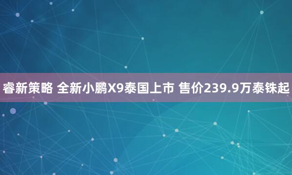 睿新策略 全新小鹏X9泰国上市 售价239.9万泰铢起